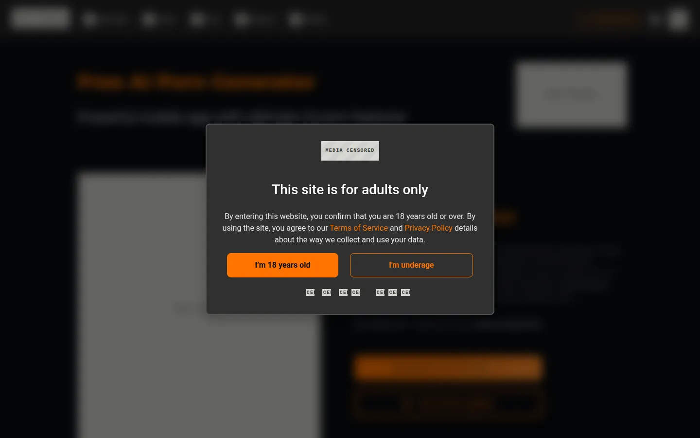 Reviewed capture of the Pornworks public landing page