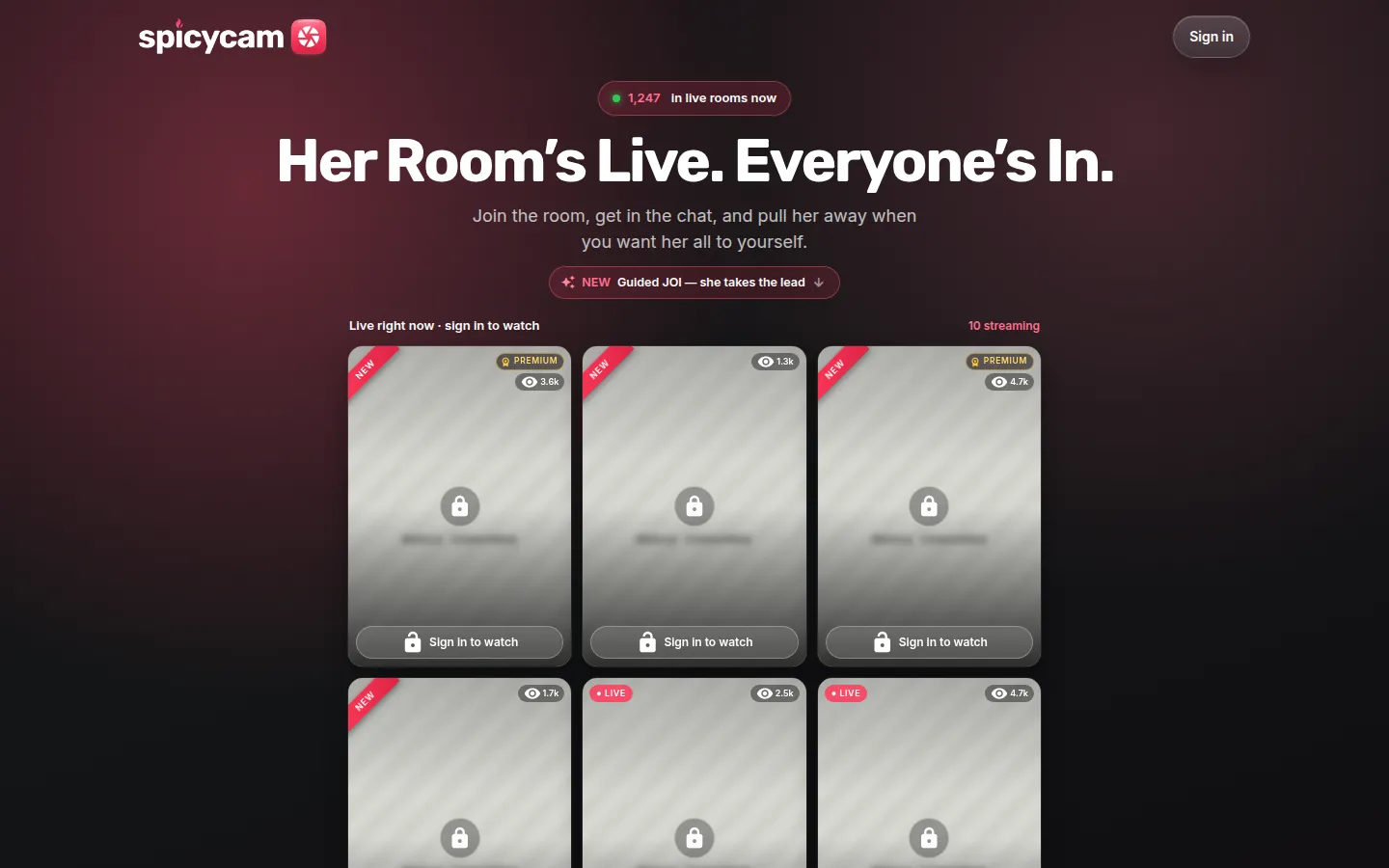 Reviewed capture of the SpicyCam AI public landing page